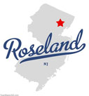 Furnace Repairs Roseland NJ